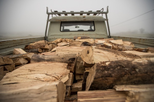 A pickup truck full of firewood drives down the road