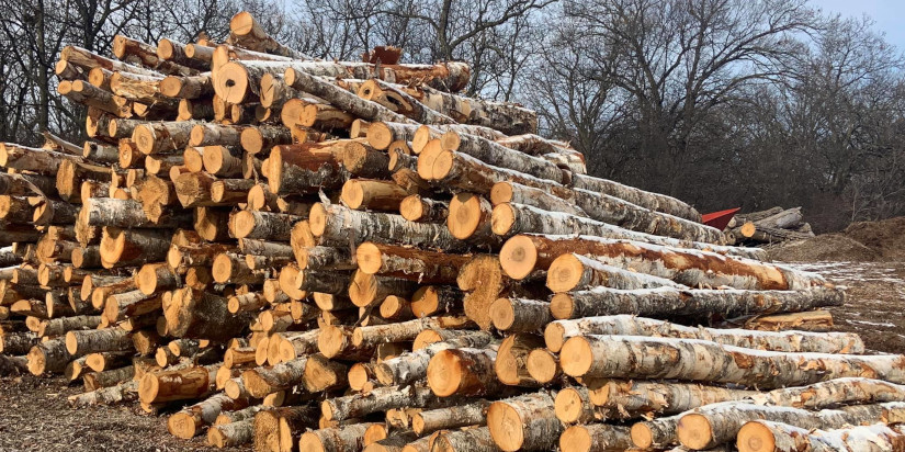 New and used Firewood & Logs for sale