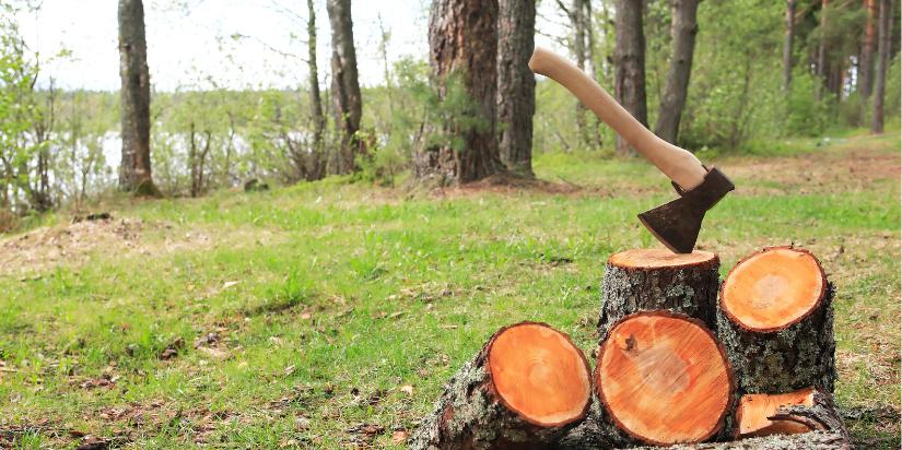How To Split Firewood