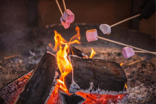 Several sticks hold marshmallows over a fire