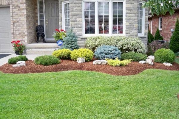 Image of landscape bed with colorful plants and brown mulch in front of a house