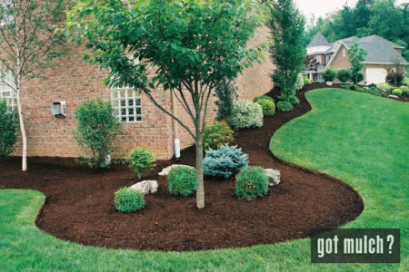 Image of a landscape bed outside a home covered in premium mulch