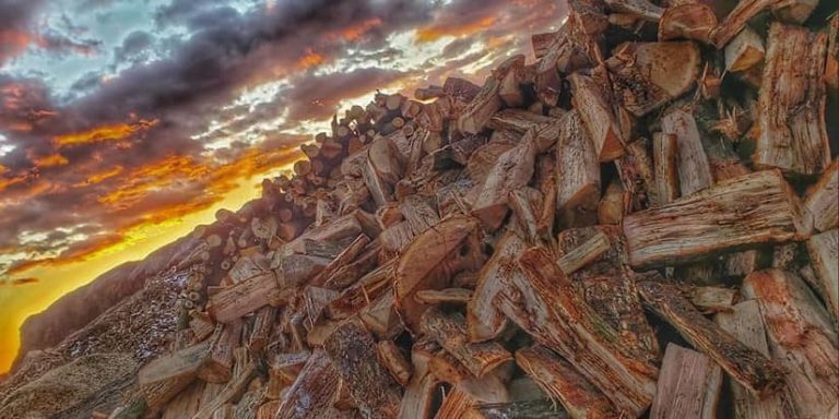 The ultimate battle, kiln-dried vs. seasoned firewood rages at sunset