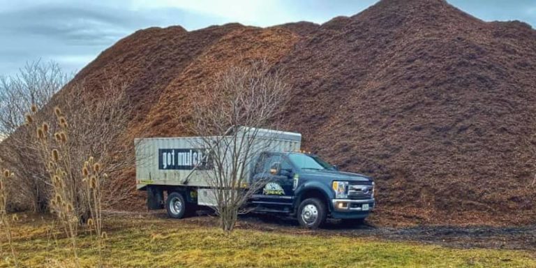Organic hardwood Mulch for sale near me from Lumberjacks