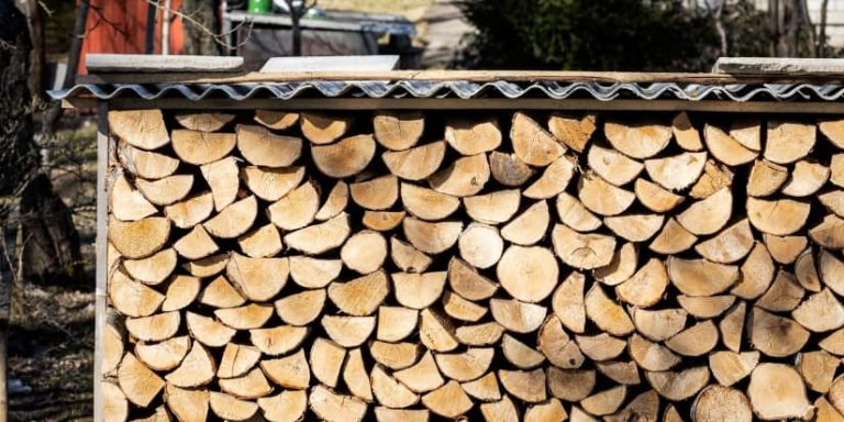 A face cord of wood in a log store
