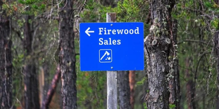 A sign in the woods pointing to cheap firewood near me