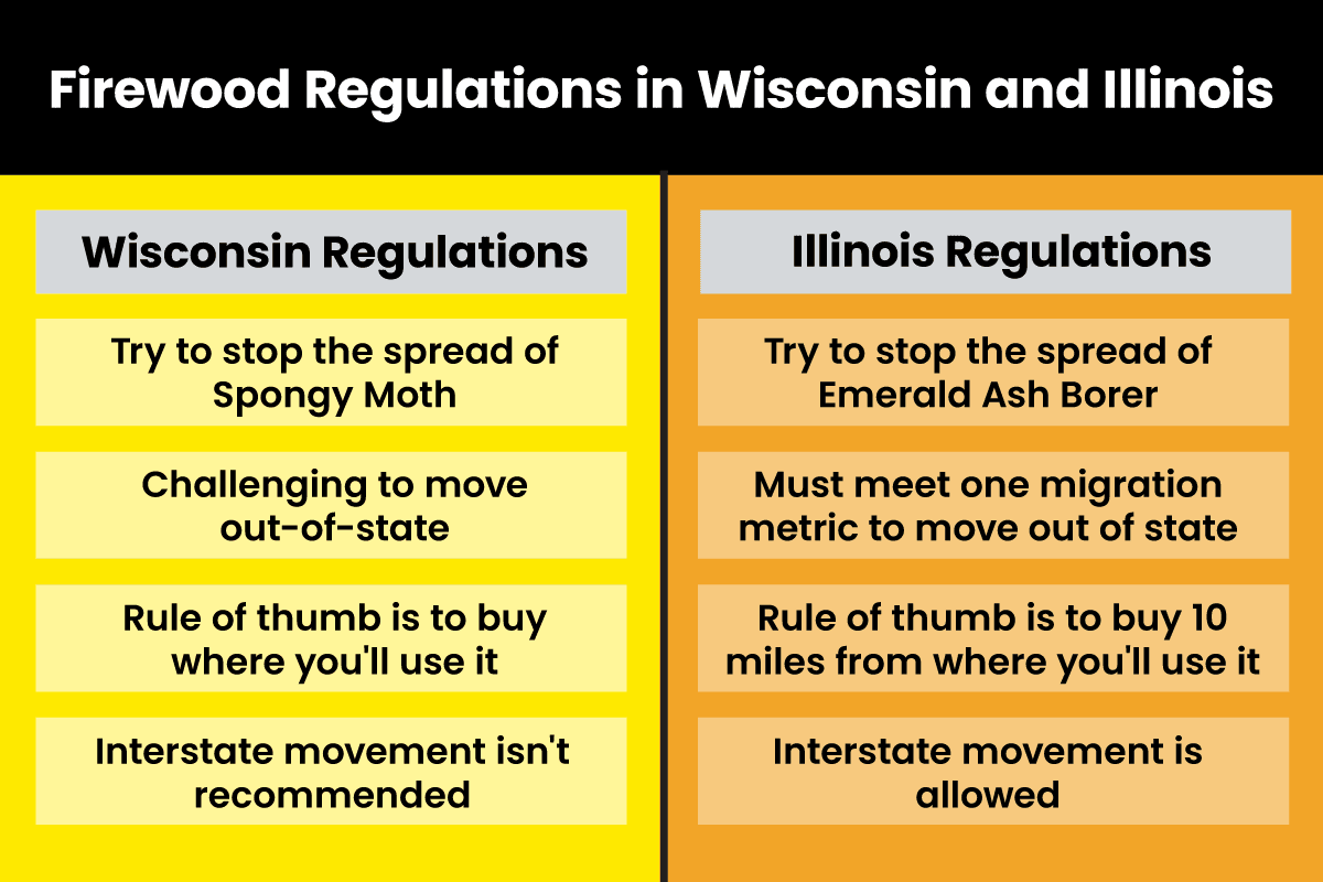A chart explaining the different regulations of transporting firewood across state lines in Wisconsin and Illinois.