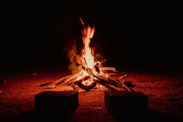 A campfire burns among dark trees.