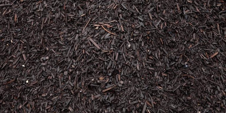 Dark mulch covers a plot.