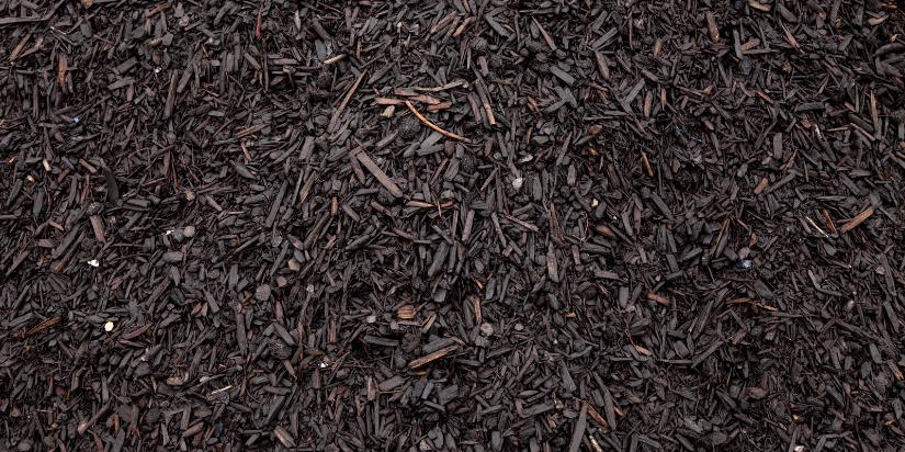 Dark mulch covers a plot.