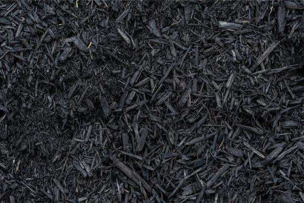 A bird’s-eye view of black mulch fills the image.