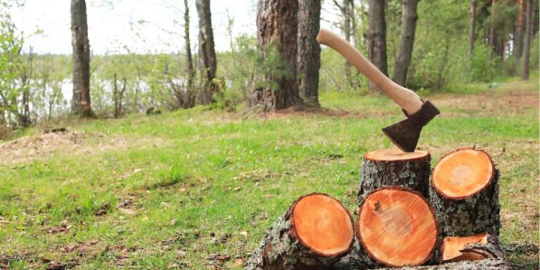 Why split firewood with this axe? We can show you