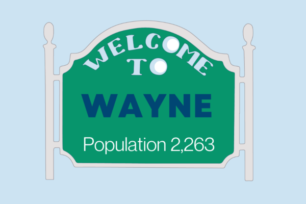 Sign welcoming people to Wayne, IL, where we deliver firewood