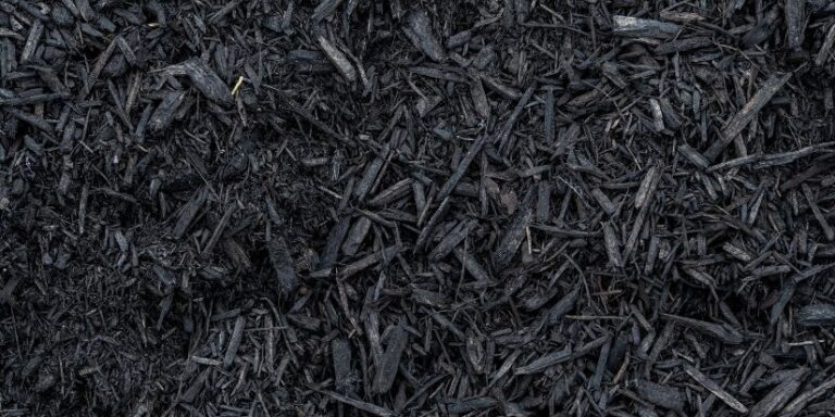 Close-up of black mulch