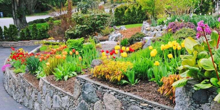 Bright flowers in a mulched stone garden bed