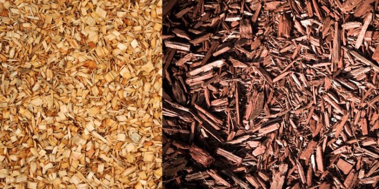 Dark and light natural mulches shown side by side