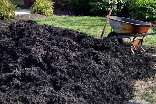 A pile of delivered black mulch with a wheelbarrow next to it