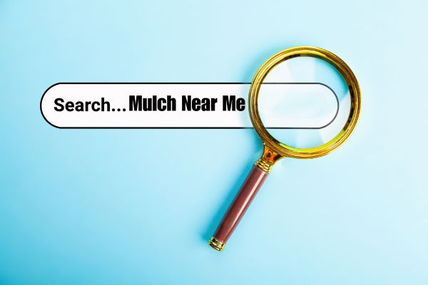 A search query bar with a magnifying glass on a blue background