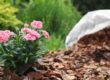Bark mulch is spilling out of a bag around some flowers