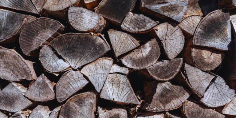 Seasoned firewood stacked properly