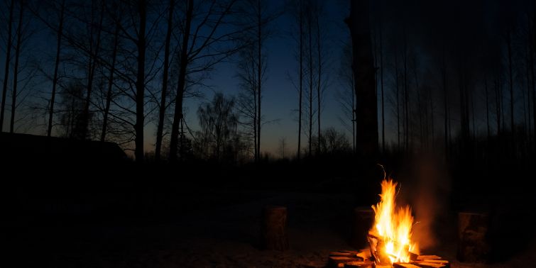 Bundles of Firewood for Campfire