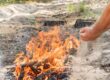 Person putting out a camp fire