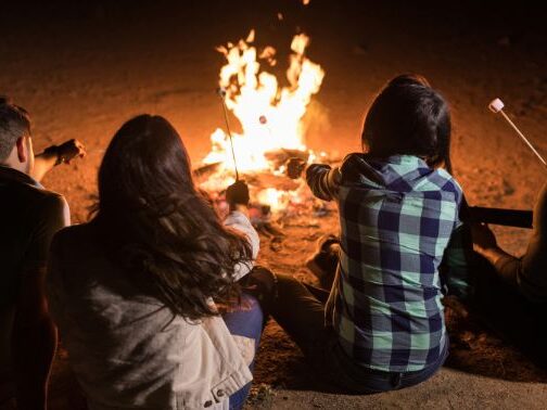 Campfire wood in Northern Illinois