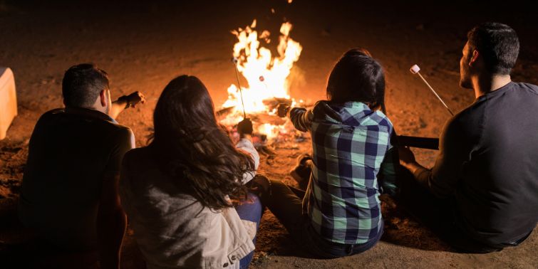 Campfire wood in Northern Illinois