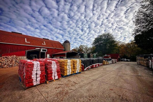 Where to buy firewood