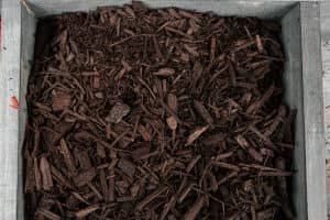 Closeup photo of a bin of chocolate mulch.